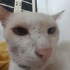 sumsung931