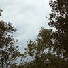 sabiha_2457