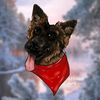 kai.gsd_