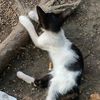 berjuang_sendiri01