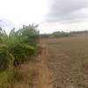 nhananh0999