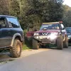salva_4.2