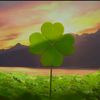 clover741637