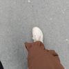 www.tiktok_coml