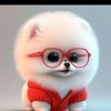 lolli.ammu