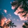 cikaawlia127