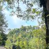 gafvad_1208