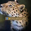 00.xxli