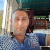 gollop8