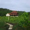 hai.anh.em.c.mau