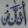 user1305660870185