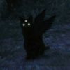 skull_kitty_666