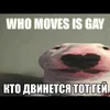 www.tiktok.rastivka