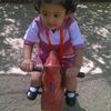 arif.jamani
