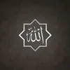 Raff tv