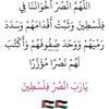 user682059111885029