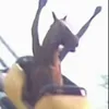 pityeregjmiatta