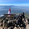 obatsakitkepala69