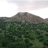 emamqadr