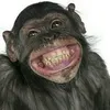 dahood_monkey