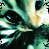 lilith.thdss