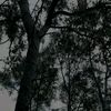 estuard_perez_
