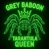grey.baboon.tarantula