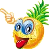 dimasik_ananasik3000