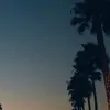 hggflo