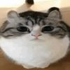 quoggler