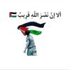 aishamohamed4523