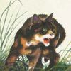 kittypetracer