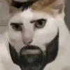 rididdkyyt