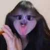 _.bonhciu