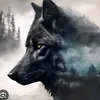 www.tiktok.binomonaco