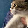 ibtissameljrb