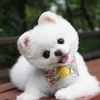 _tidie08