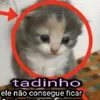 vini.sxv