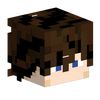 dhvid.ori