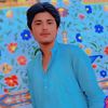 ameer.hamza5596