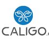 caligo.ae