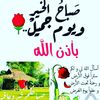fatimeali235