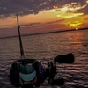 mauzi_stankovic