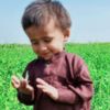 aharkhan536hotmail.com3