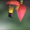 tramy18102020