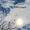 mohammadsaad7515