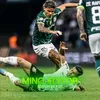 minoeditor1