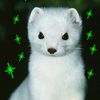 your_ferret_boy