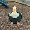 assbecthicc