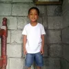 stafe533